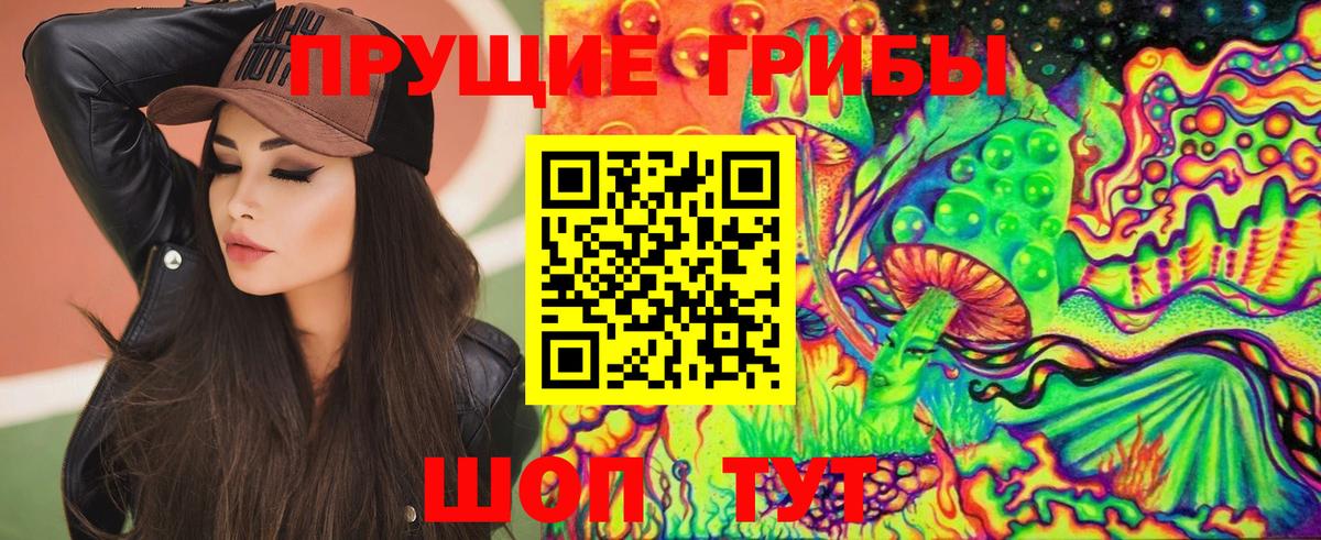 Кириши  Псилоцибиновые грибы прущие грибы  Вход с VPN  Псилоцибиновые грибы Psilocybe 